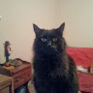 Meet your Posher, Howard